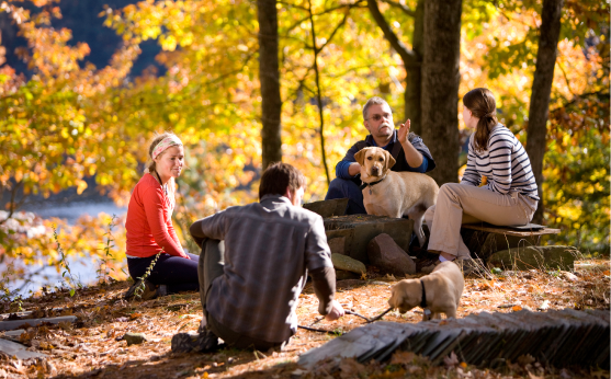 Hartwick students in wooded area with dogs